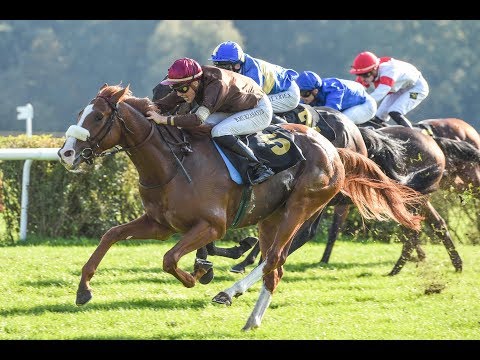 Berlin-Hoppegarten: Silbernes Pferd (Gr. III) - Sieger: Ladykiller