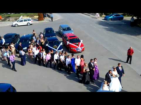 Nuntă în Zlatna- Alba