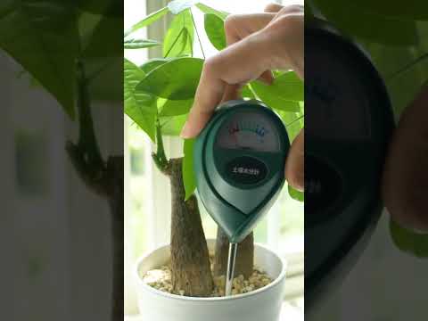 霜が降りた植物を（鉢植えまたは地中に）保存し、再び植え直すにはどうすればよいでしょうか？  庭園