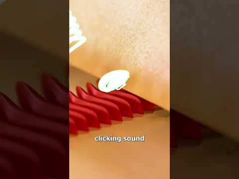 How Crickets Chirp 🤔