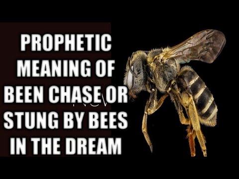 Spiritual meaning of been chase or stung by bees in the dream
