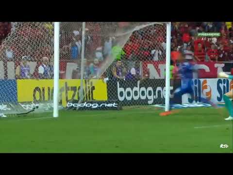 FL4M3NG0 3x1 CRUZ31R0 - BR4S1L31R40 2019