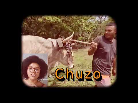 The last "Boyero" of Liberia, Guanacaste. "Don Guicho Pizarro" 