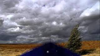 Corazoncito Tirano--