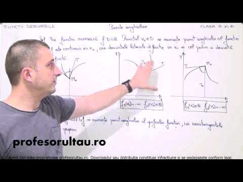 10   cls11   Functii derivabile   puncte unghiulare   definitii si exemple - profesorultau.ro