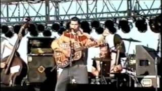 Jimmy Dale & the Diamondback Trio perform Gene Vincent's "Bi Bickey Bi Bo Bo Go"