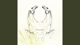 Magic Rabbit (Alfred Brown)