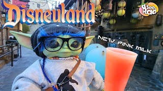 What's New on Batuu - Trying the New Pink Milk in Galaxy's Edge Disneyland
