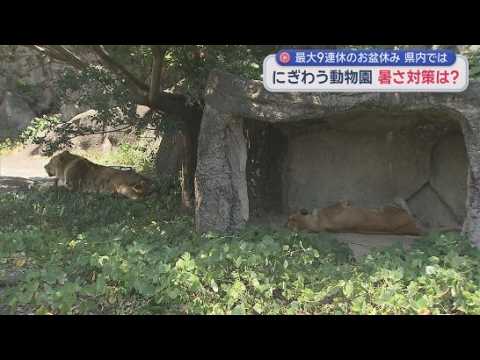 YouTube Video 人間も動物も暑さから身を守ろう　浜松市動物園に休憩所としてトレーラーハウスが設置　動物たちの部屋にもエアコン