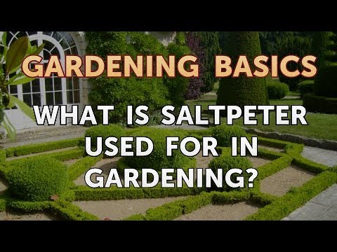 , title : 'What Is Saltpeter Used for in Gardening?'