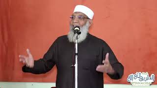 صورة قصة نوح عليه السلام