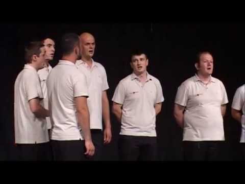 Klapa Slavonica - Oj, divojko