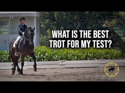 WHAT IS THE BEST TROT FOR MY DRESSAGE TEST? PART 2 - Dressage Mastery TV Episode 275