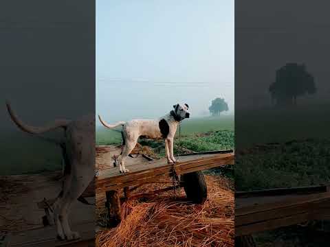 trend👍🙏🏻❤️