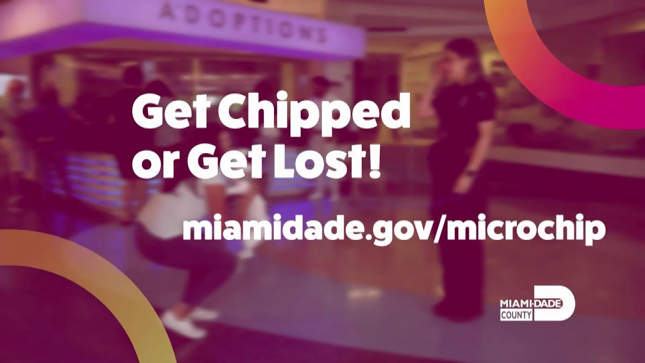 Miami-Dade County Broadcast