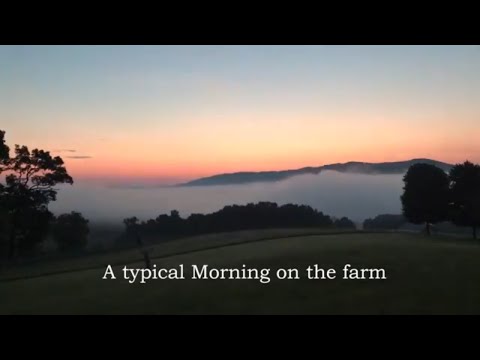 Typical Morning at Mill Gap Farm Monterey Virginia