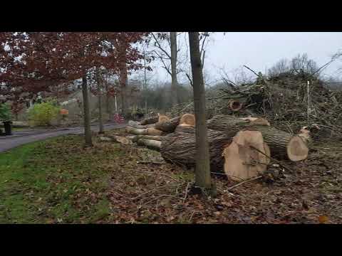 Selwerderhof Kap - 100 bomen dec 2020