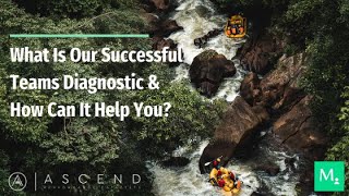 Ascend's Successful Teams Diagnostic - how it works and its benefits