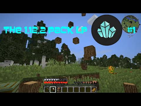 The Bees Stole My Wood! - The 1.12.2 Pack LP #1