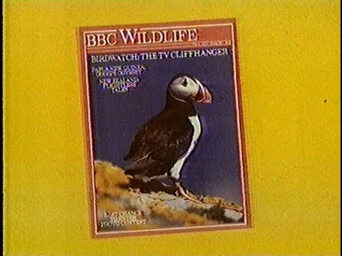 Tuesday 4th June 1985 BBC2 - Wildlife On Two - Bodyline - Behind The Lines