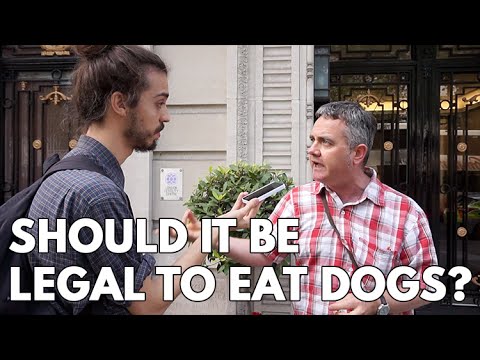 Should it be legal to eat dogs?