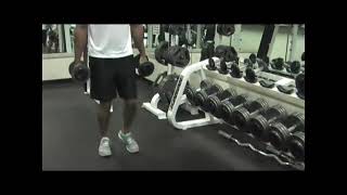 How to do Lunge Workouts for Weightlifting & Bodybuilding