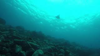 06 - Indonesia - Pulau Weh - Scuba Dive Video (courtesy of Godet family)