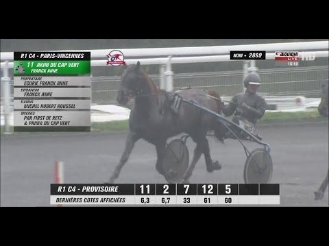 AKIM DU CAP VERT - VINCENNES - PRIX DE BRETAGNE 2015