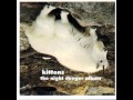 KITTENS - "Fright Night". taken from the 1998 release "The Night Danger Album". Sonic Unyon Records