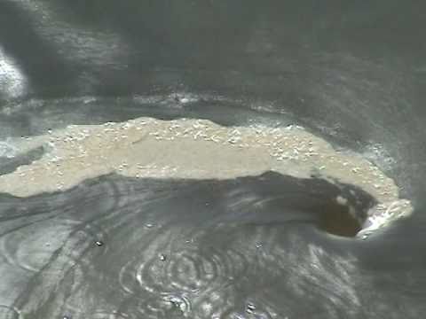 Full Scale Oil Skimmer Demonstration