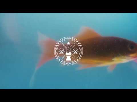 Video thumbnail for Lost My Phone