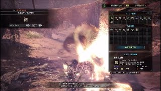 帰ってきたクルルヤッカーシュヴァル。 上位フリークエスト ｢クルルヤックの狩猟｣ 『00'57"30』 双剣ソロ
