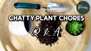 REPOTTING Day! (Q&A)