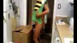 Savannah the Dancing Bumble Bee