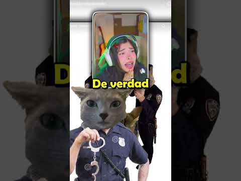 QUE HE HECHO 😭 🥀