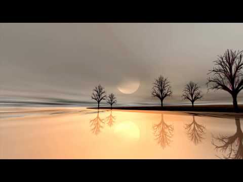 Burns - Lies (Otto Knows Mix) and Sebastian Ingrosso n Tommy Trash Reload (Original Mix) (Rizenriks