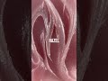 Atica Polymix Hazel - полигель нюдовый, 60 г
