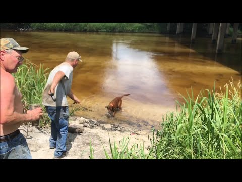 TDW 1533 - We Meet Again