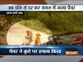 WATCH VIDEO: What happened when a dog and panther came face-to-face in a jungle near Jaipur