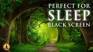 Forest Rain Sounds for Sleeping, 8 hours, Black Screen Sleep Music, Rain Sounds, Sleep Meditation