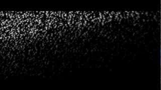 The Soft Moon // "Die Life" (OFFICIAL VIDEO)