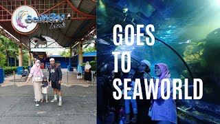 Download lagu Review Lengkap Terupdate SEAWORLD ANCOL 2023 | Harga Tiket Masuk Seaworld Jakarta Terbaru mp3 Download lagu Review Lengkap Terupdate SEAWORLD ANCOL 2023 | Harga Tiket Masuk Seaworld Jakarta Terbaru mp3