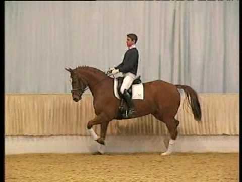 Florianus daughter, Florencia. Dressage