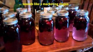 How To Make Easy Homemade Wine ~ Making Blackberry Wine