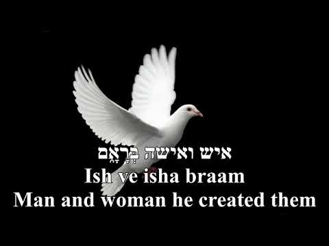 Tzipor Gan Eden Bird of Paradise Gad Elbaz Hebrew+English Lyrics PICTXT ONLY ציפור גן עדן גד אלבז