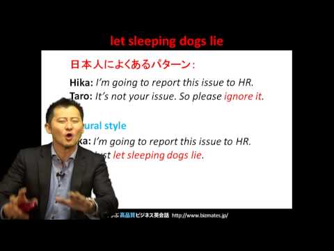 ビズメイツ無料英語学習 単語・フレーズ ヒント123 "寝ている犬を寝かせる" (Bizmates無料英語学習 Words & Phrases Tip 123 "let sleeping dogs lie")