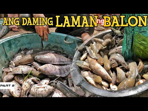 P2-ANDAMING LAMAN NG BALON - EP1233