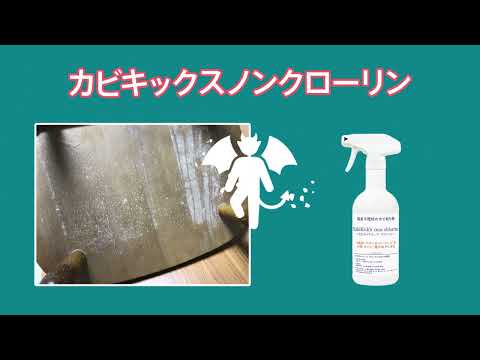  SOS: 苗にカビが発生しました!彼らを救えるでしょうか？やり方は？  庭園