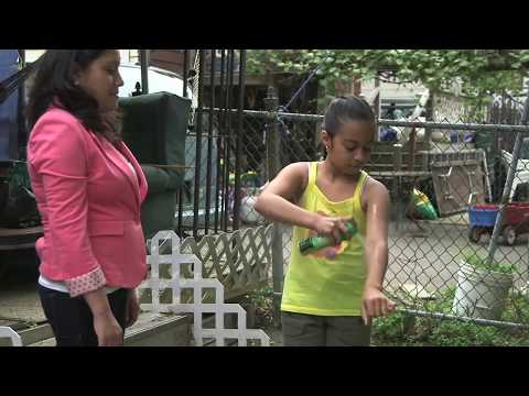 Standing Water Mosquitoes