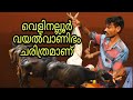 വയൽ വാണിഭ കാഴ്ച്ചകൾ Velinalloor Vayal Vanibham